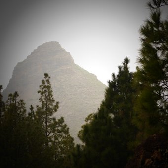 P1010964